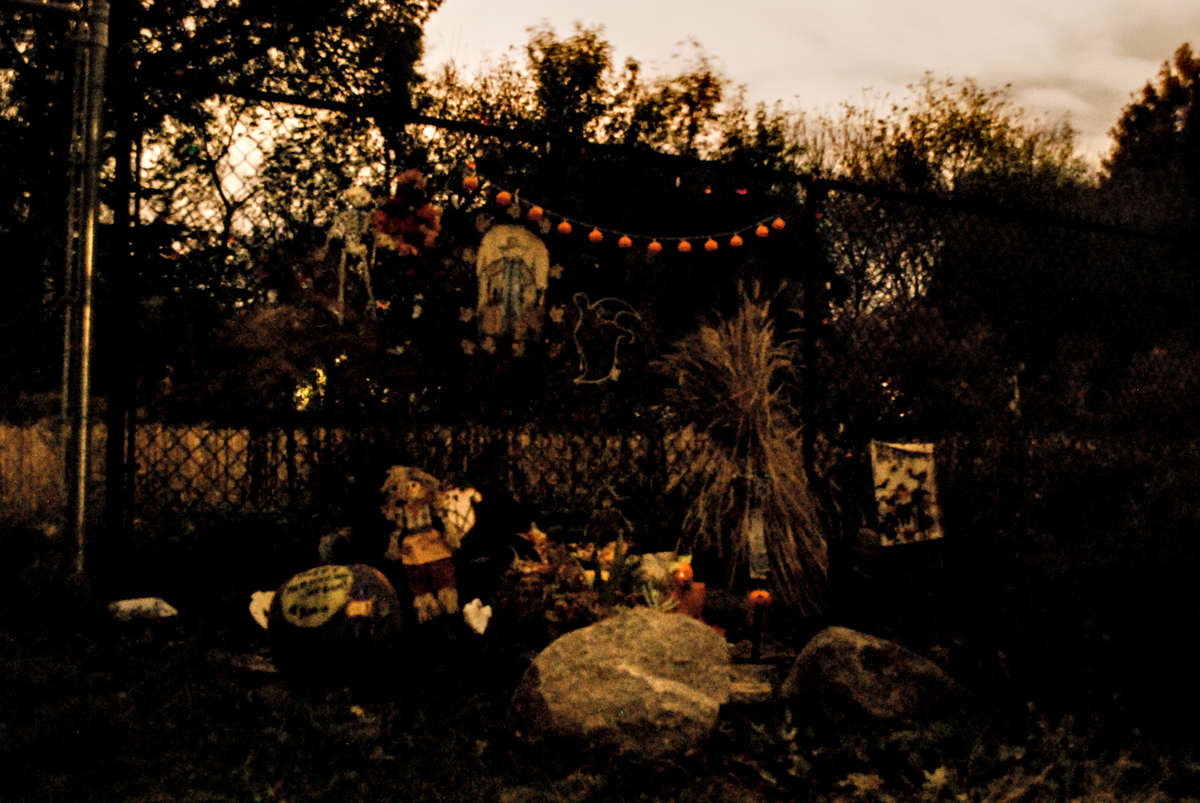 blurry photo of a shrine in october